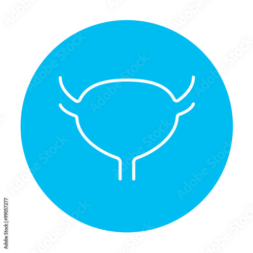 Urinary bladder line icon.