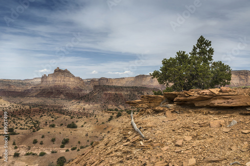 Reds Canyon in the San Rafael Swell photo