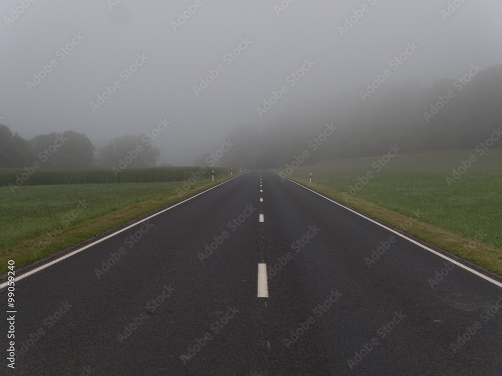 Fototapeta premium Road into fog