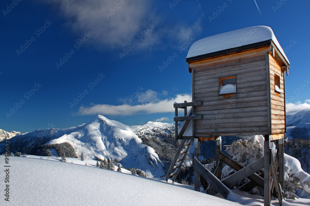 Fototapeta premium Ein Hochsitz in Zauchensee im Winter