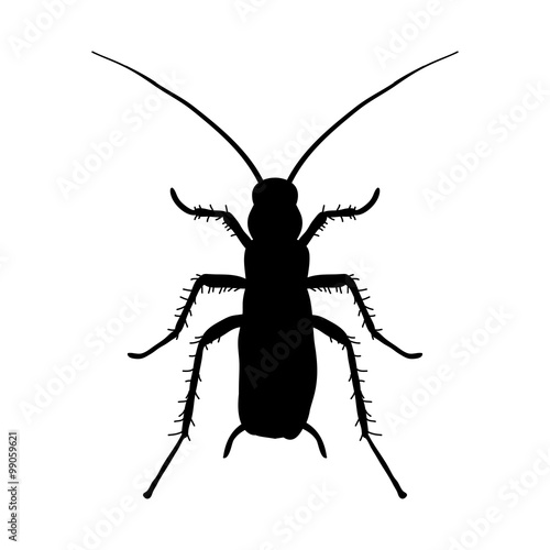 silhouette of cockroach. Blattella germanica. cockroach. Sketch of cockroach silhouette. Vector