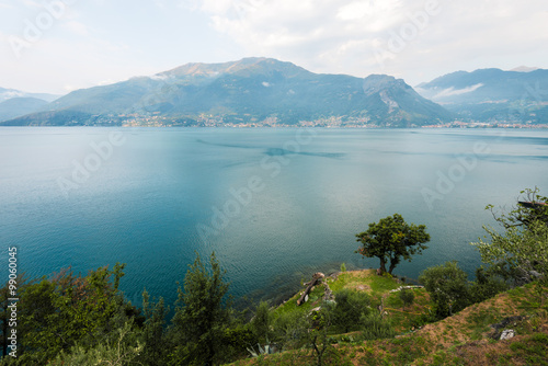 Green tree on turquoise water of the lake background. Como lake landscape in turquoise. Water and mountains in Italy, Alps, Europe.