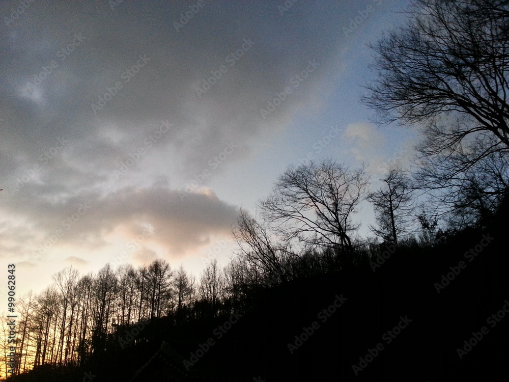 Fototapeta premium Dawn light