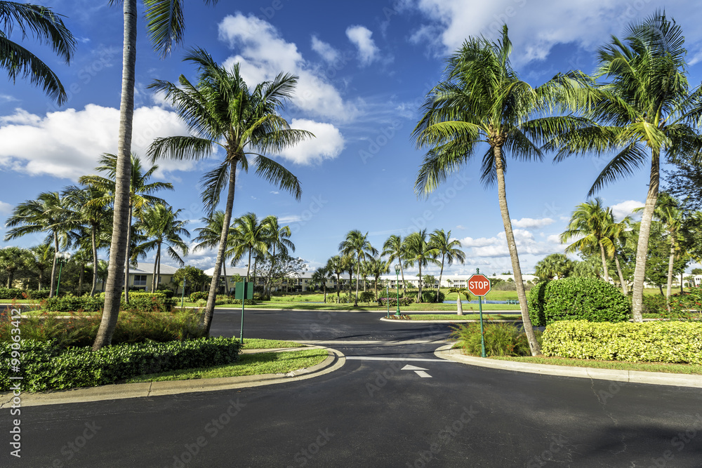 Gated community condominiums in tropics Gated community condominiums in tropics