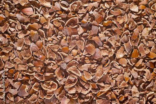 Chopped nuts shells background