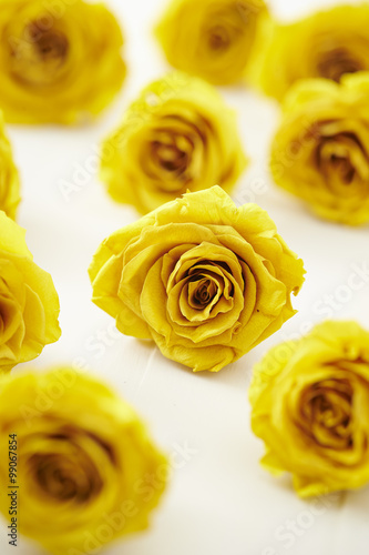 Yellow roses