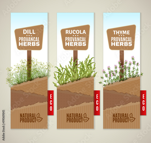 Herbs de Provence banners