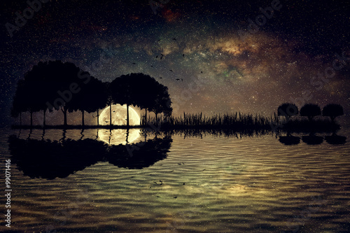 Trees arranged in a shape of a guitar on a starry sky background in a full moon night. Music island with a guitar reflection in water © psychoshadow