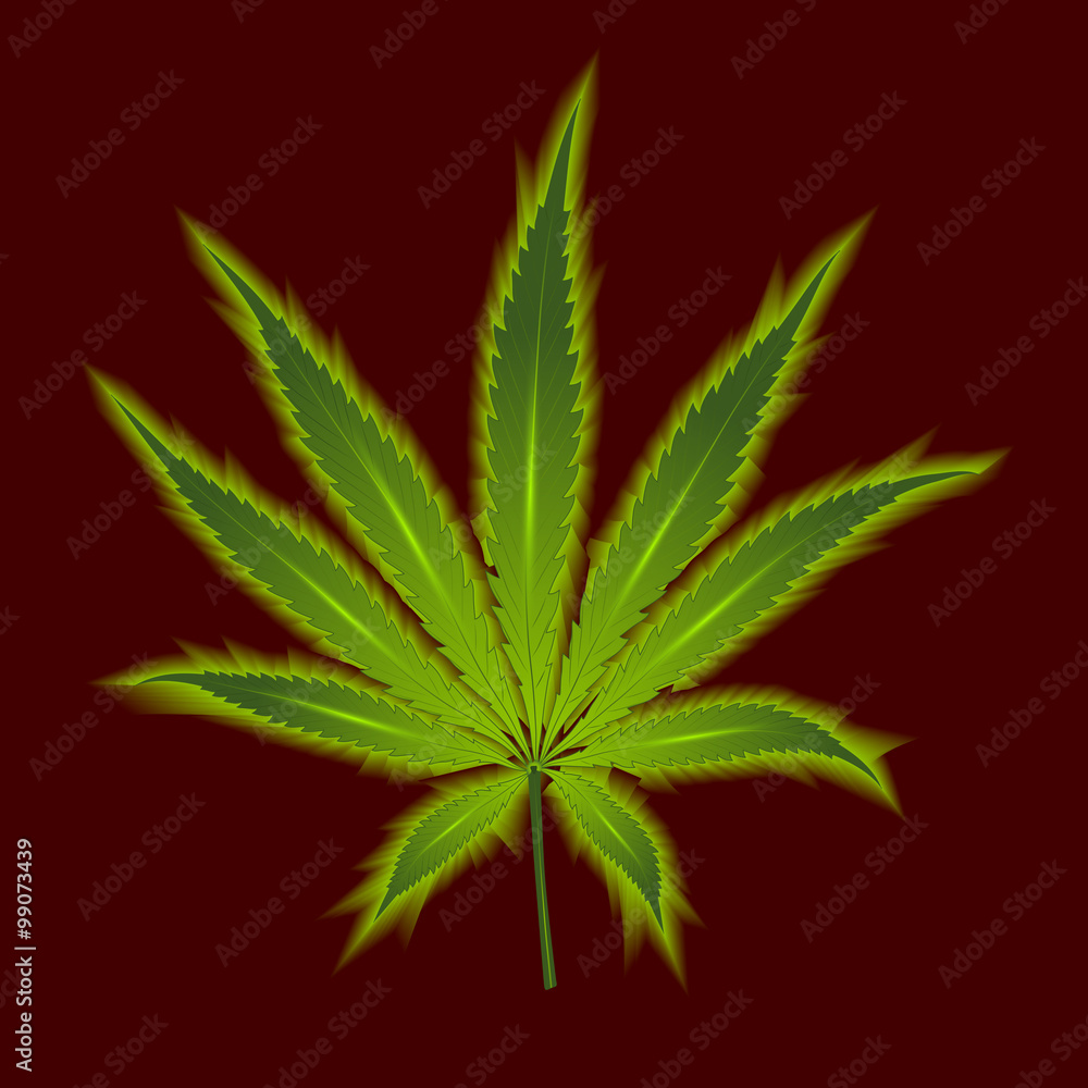 Cannabis leaf on a vinous background Cannabis leaf on a vinous background