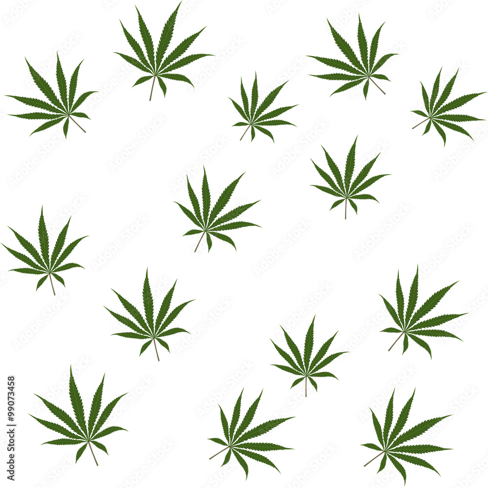 cannabis leaf - seamless pattern