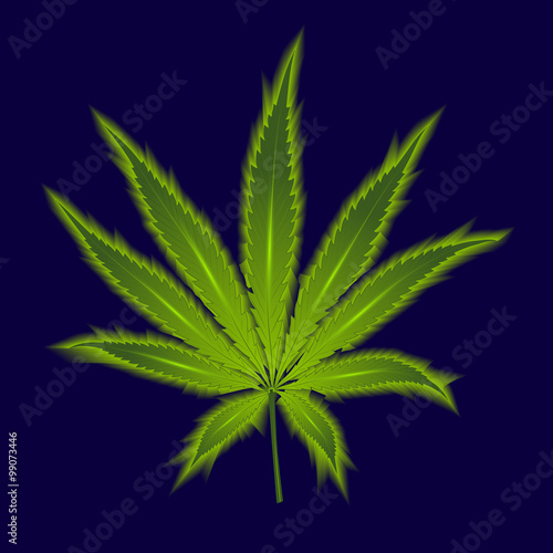 Cannabis leaf on a dark blue background