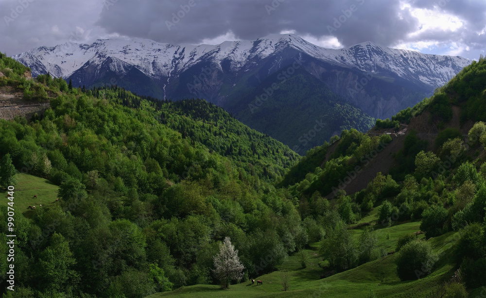 Fototapeta premium Georgia mountains in summer time