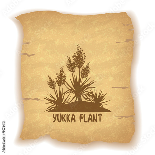 Plant Yucca Silhouettes on Old Paper