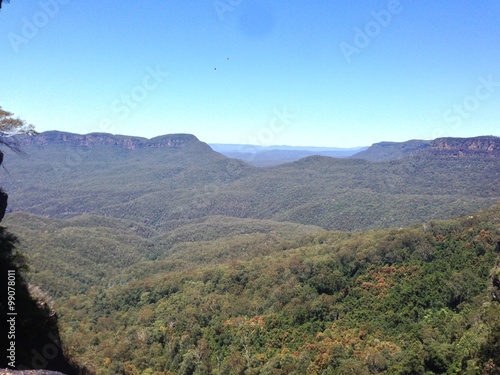 Forêt des Blue Mountains 