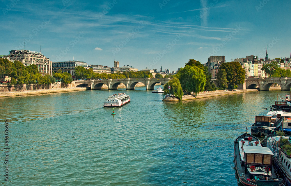 Naklejka premium River Seine in Paris