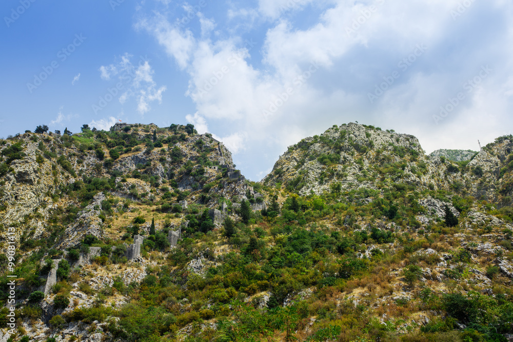 Mountain with forest in Montenegro