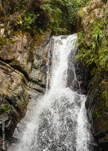 La Mina Falls in El Yunque National Rainforest