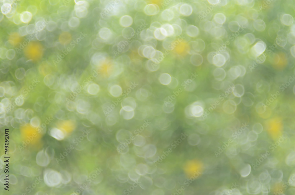 Obraz premium Green nature bokeh light background.