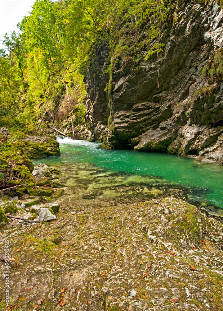 Vintgar gorge and wooden path,Bled,Slovenia Vintgar gorge and wooden path,Bled,Slovenia