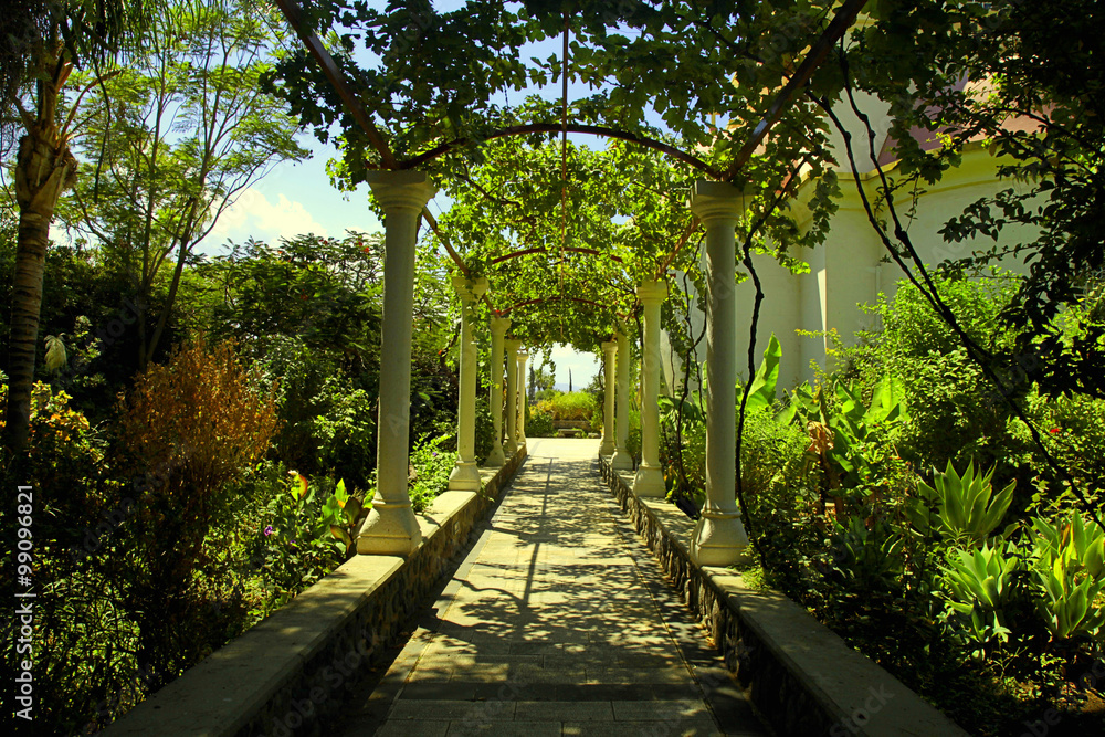 Beautiful pergola passage in the summer garden