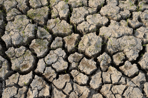 Drought causing crack dry soil