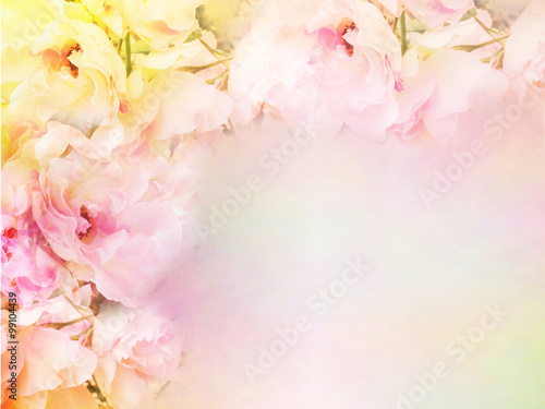 beautiful rose flowers border vintage color filters, roses flower background for valentine, wedding card