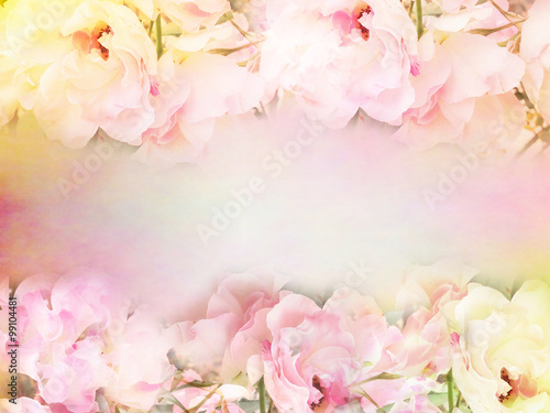 pink roses flower border and frame in vintage color for valentine background and wedding card