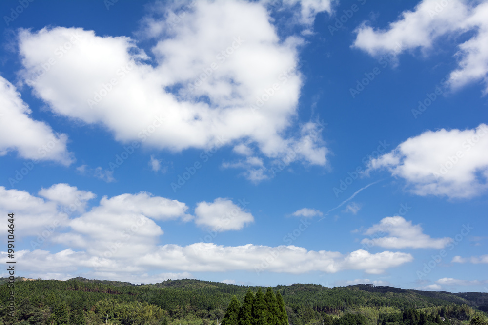 樹林と雲のもこもこしている空