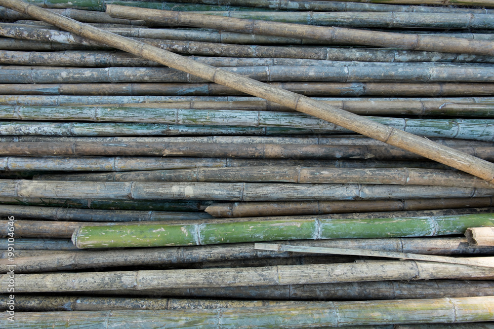 bamboo texture background