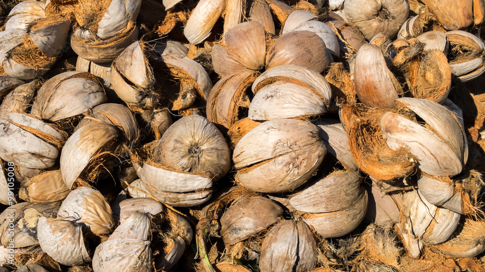 Pile of Dry Coconut Coir Husk Stock Photo Adobe Stock