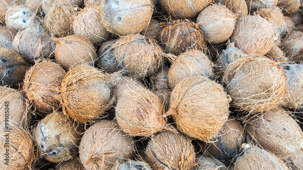Pile of Dry Coconut Coir Husk Stock Photo Adobe Stock