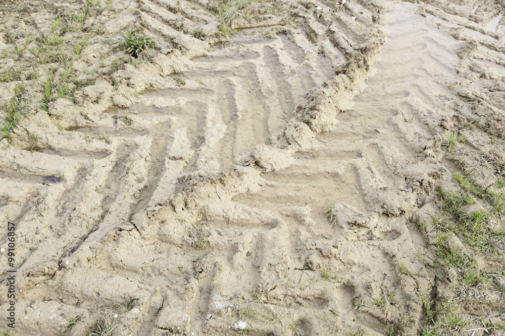 Wheel tracks in the mud