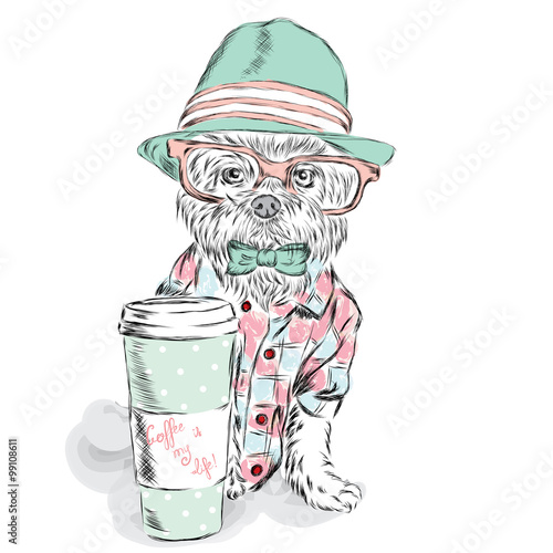 The dog hipster. Cute puppy vector. Dog clothing. Pedigree dog. Greeting card with a dog. Bichon Frise. Lapdog. A dog in a hat and a cup of coffee. Coffee. photo