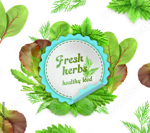 Fresh herbs, vector illustration
