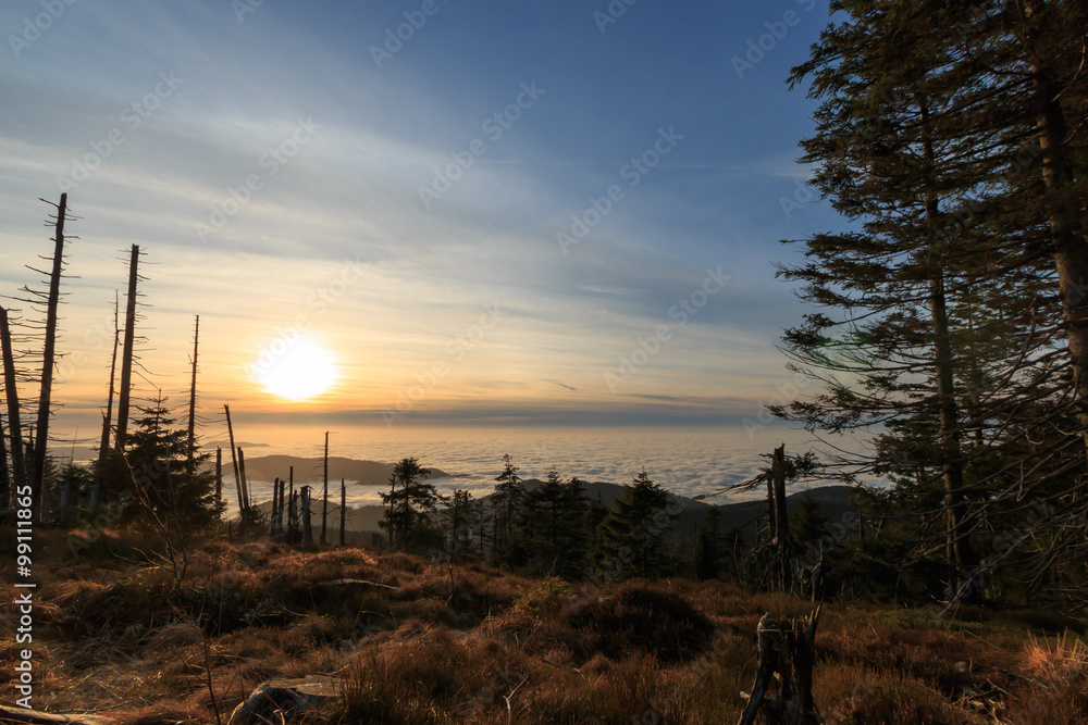 Fototapeta premium Sonnenuntergang auf der Hornisgrinde