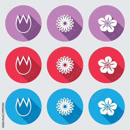Flower icon set. Tulip  camomile daisy  orchid. Floral symbol. White sign on round button with long shadow. Blue  red  lilac colored. Vector isolated