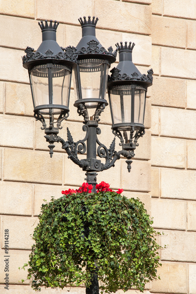 Obraz premium Bac à fleurs sous lampadaire, Barcelone, Catalogne, Espagne