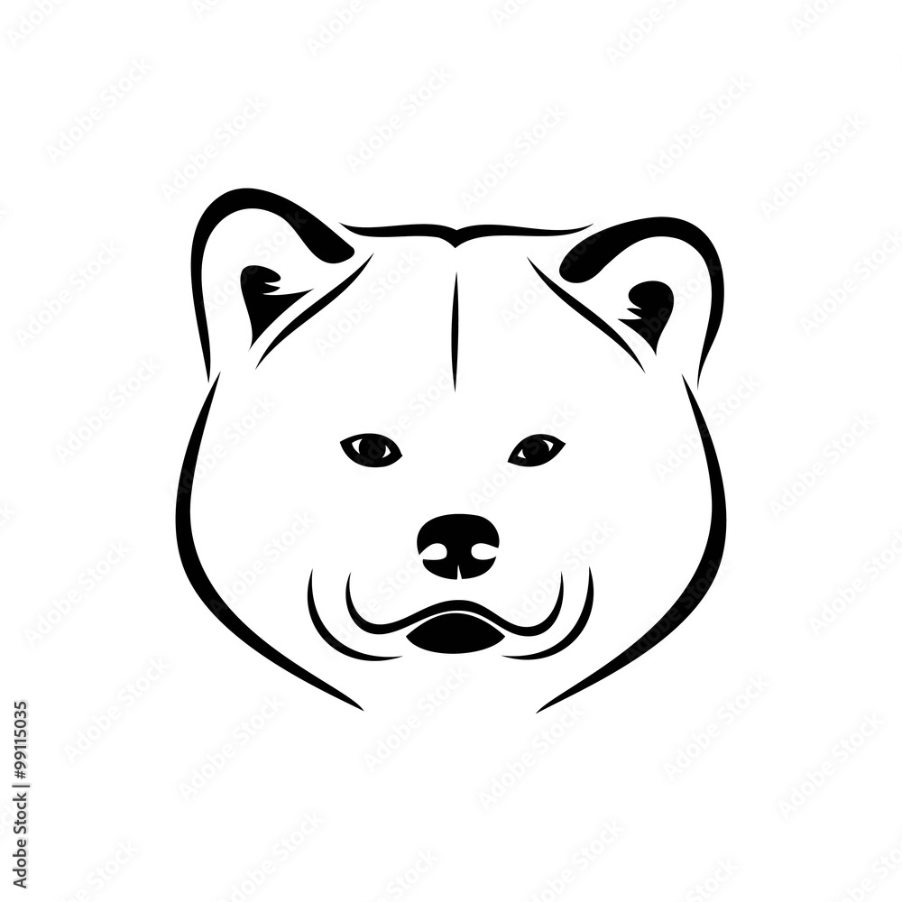 Akita inu Akita inu