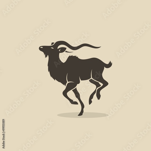 Antelope running