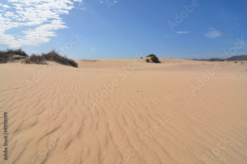 deserto di sabbia a fuerteventura