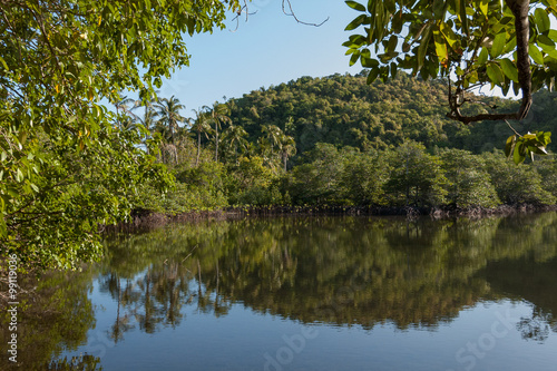 Tropical mangrove lagoon on Danjugan Island, Philippines photo