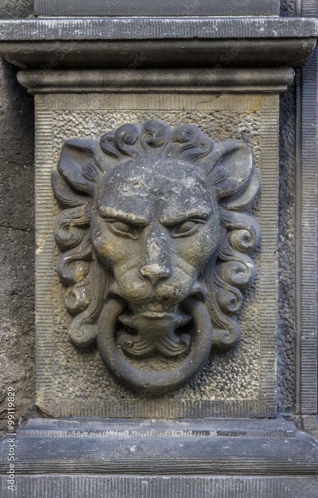 Lion's head carved on the pillar