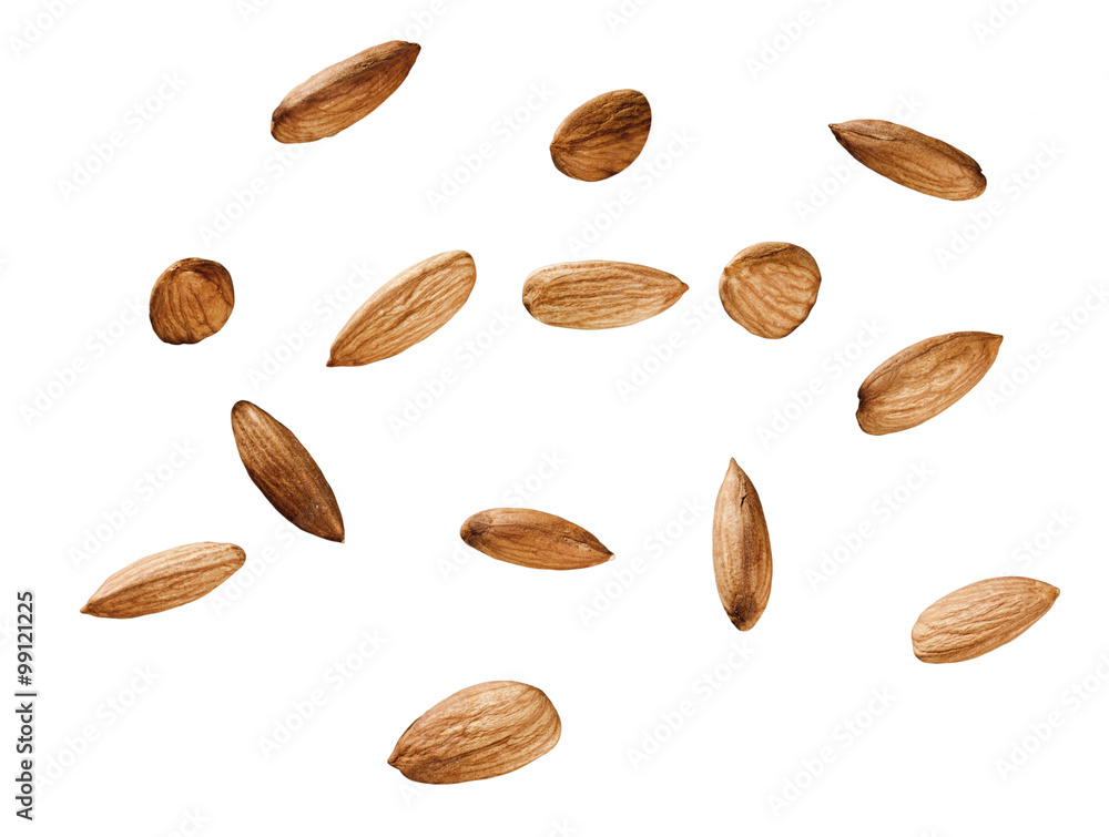 perfect fourteen almonds on isolated on white background with path perfect fourteen almonds on isolated on white background with path