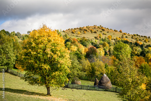 Fototapeta Naklejka Na Ścianę i Meble -  Haystack with a freshly mown meadow as background. Horizontal vi