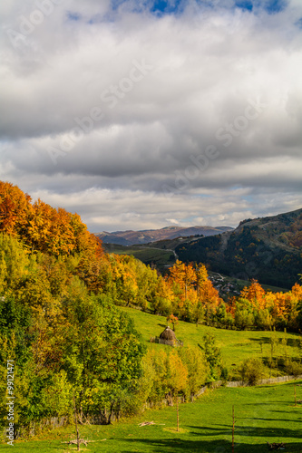 Fototapeta Naklejka Na Ścianę i Meble -  Beautiful orchard in a sunny autumn day. Horizontal view of a or