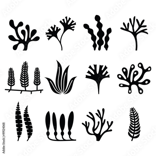 Seaweed icons set - nature, food trends concept 