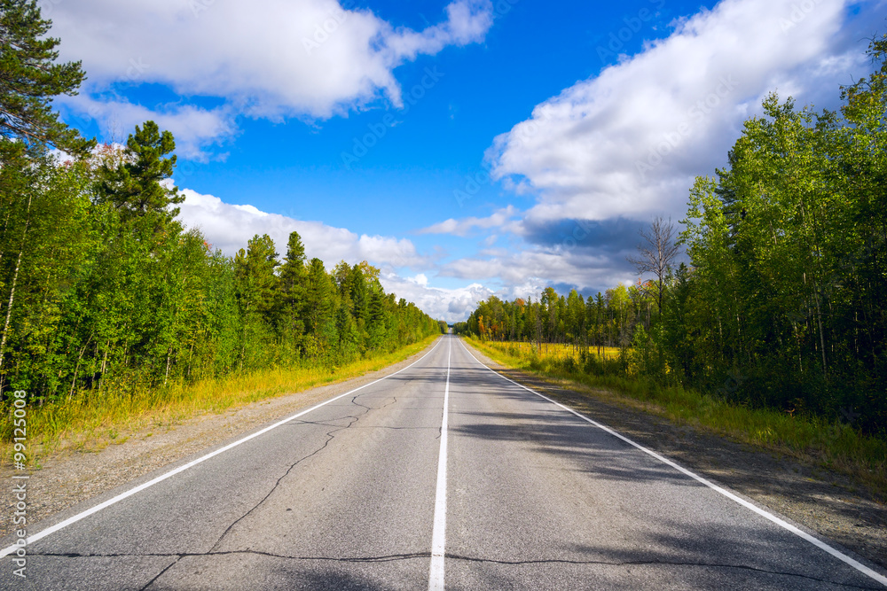 Asphalt road with markings in forest . Asphalt road with markings in forest .