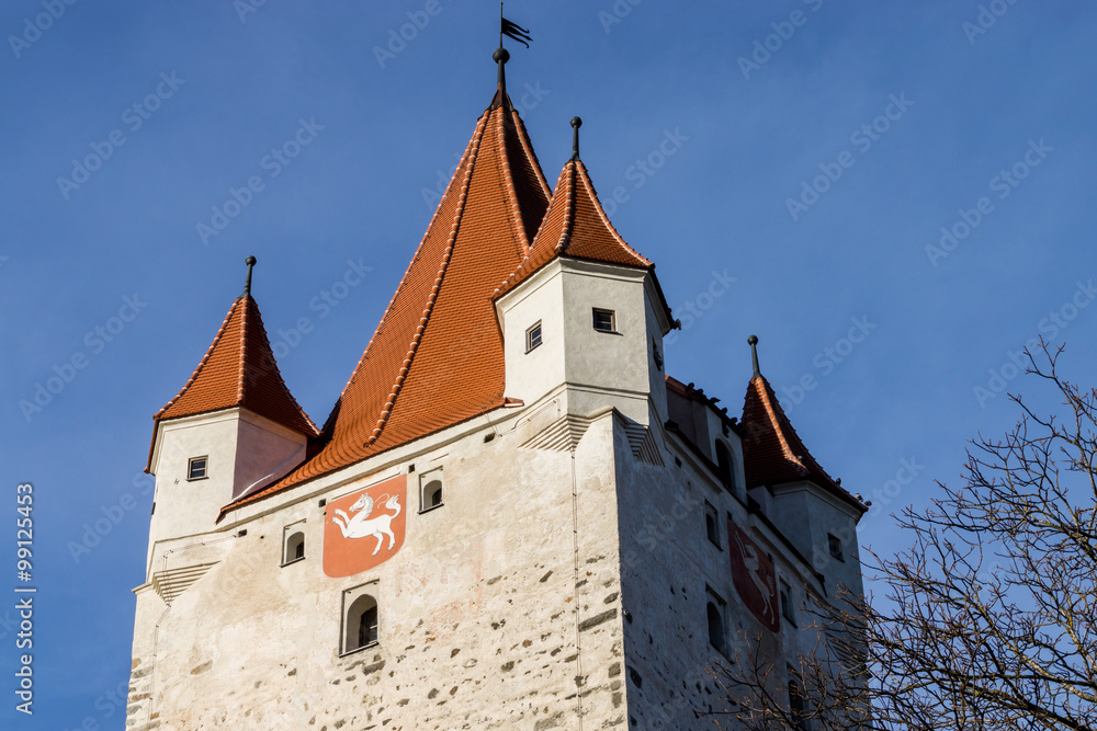 Burg Haag in Oberbayern, Schlossturm