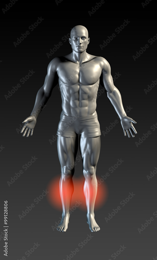 Shin Splints Shin Splints