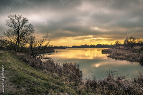 Wild pond on cloudy morning with yellow sunbeams